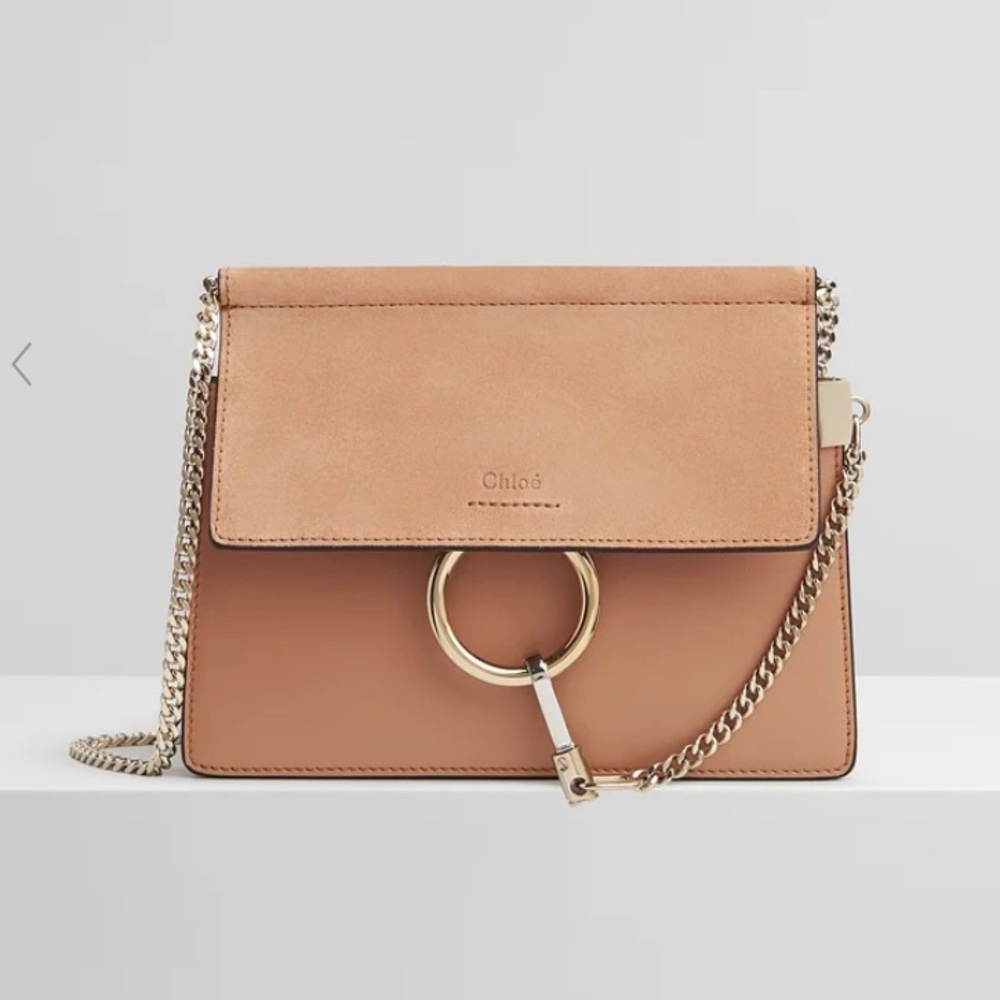 Chloé Faye Mini Chain Bag